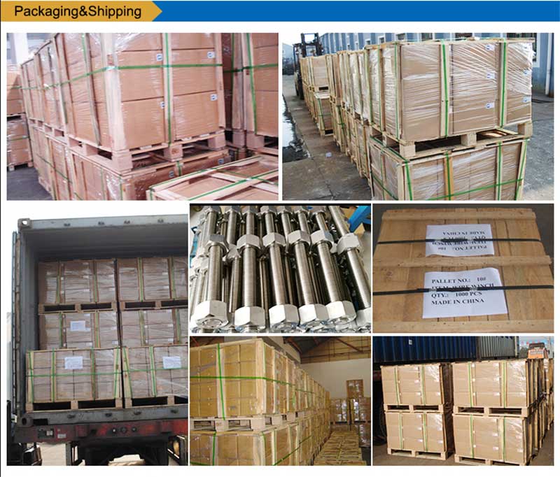 Stainless-çeliku-List-Bolts-vidë-shtrëngimin-paketim